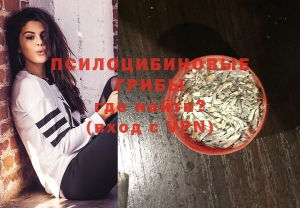 ECSTASY Бородино