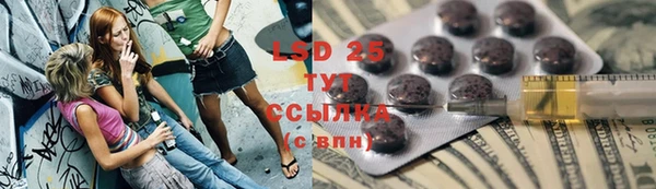 ECSTASY Бородино