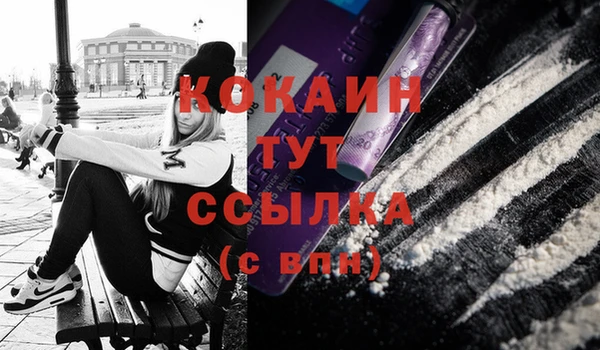 ECSTASY Бородино