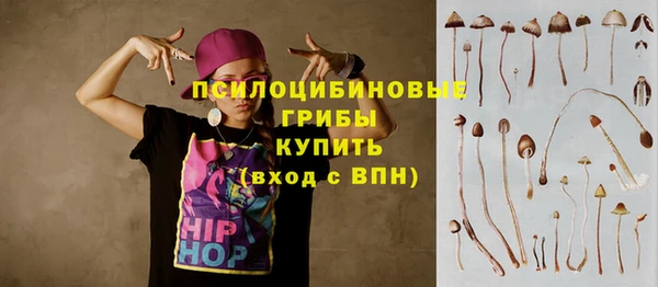прущий лед Бронницы