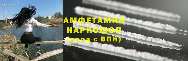 ECSTASY Бородино