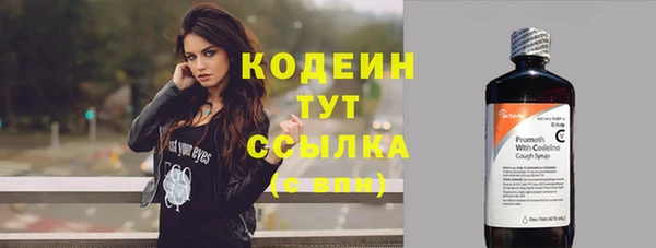 ECSTASY Бородино