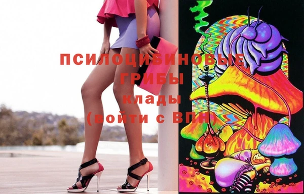 прущий лед Бронницы