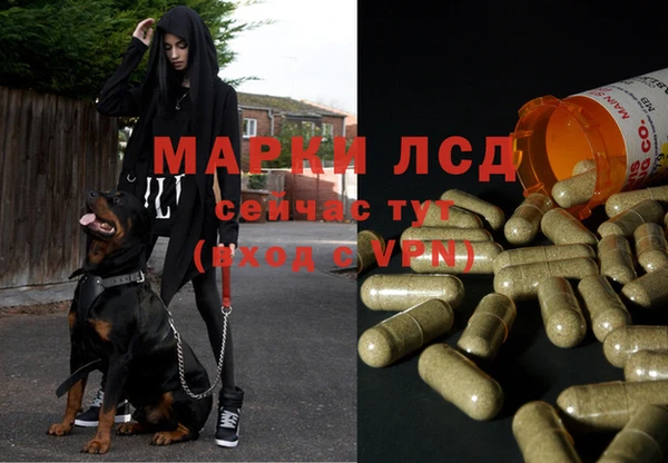 прущий лед Бронницы