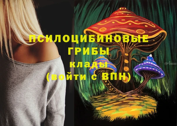 соль ск Бугульма