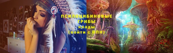 соль ск Бугульма