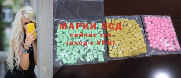 ECSTASY Бородино