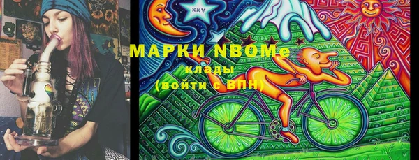 ECSTASY Бородино