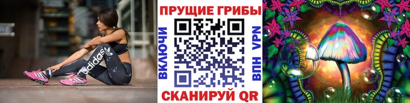 Галлюциногенные грибы Magic Shrooms  darknet состав  Йошкар-Ола  купить наркоту 